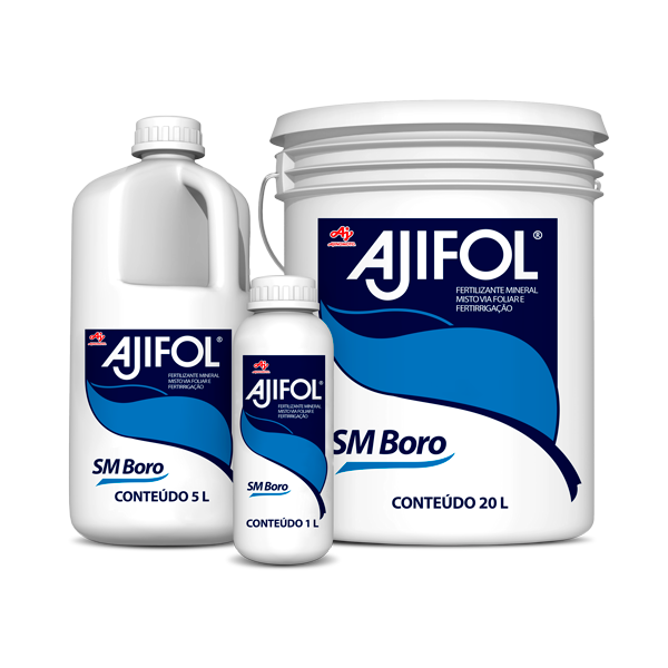 Ajifol_SM_Boro