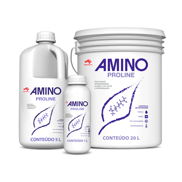 Amino_Proline
